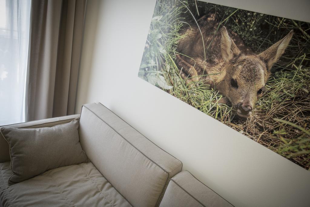 Aparthotel Dolomites Living&Relax コンメッツァドゥーラ エクステリア 写真